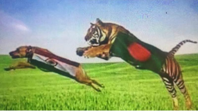 বাংলাদেশী সমর্থকরা ফের করলেন লজ্জাজনক কাজ, এভাবে ভারতীয়দের নিয়ে করল ঠাট্টা 4