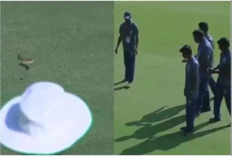 ভিডিয়ো: ম্যাচ চলাকালীন মাঠে ঢুকল সাপ, কিছুক্ষণের জন্য আটকাতে হলো খেলা 1