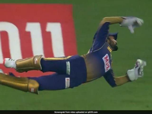 উইকেটকিপার না বাজপাখি! একেবারে সুপারম্যানের মত উড়ে গিয়ে ক্যাচ ধরলেন দীনেশ কার্তিক, দেখুন ভিডিও 1