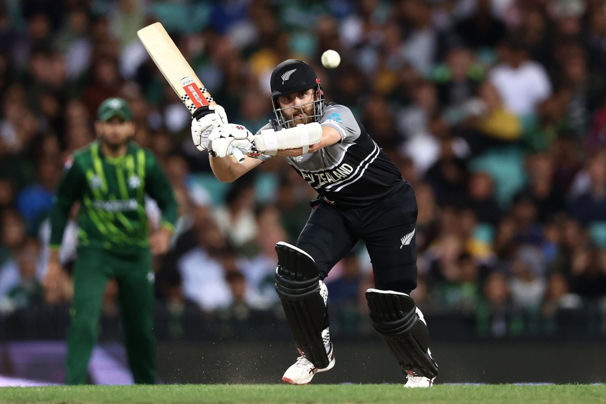 Kane Williamson | image: gettyimages
