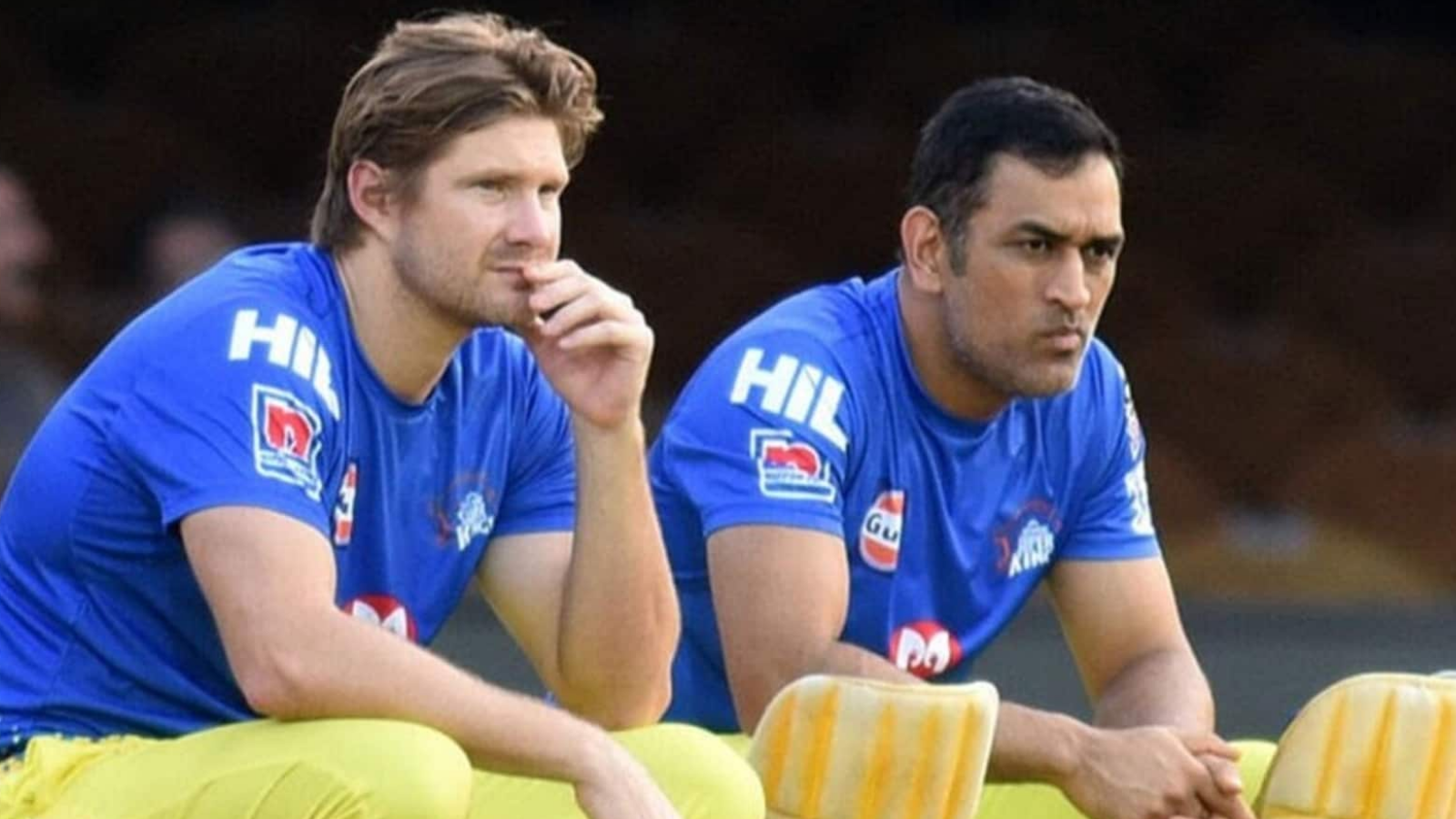 Shane Watson and MS Dhoni | image: twitter