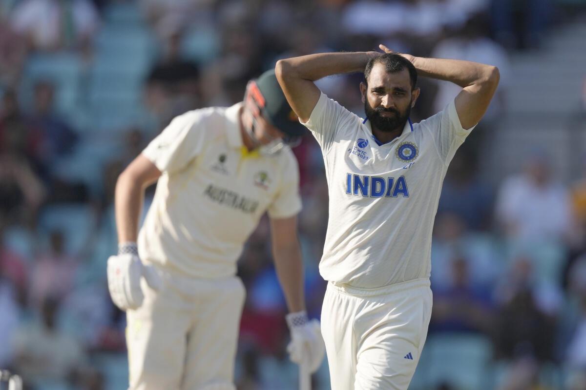 Mohammed Shami | Image: Getty Images