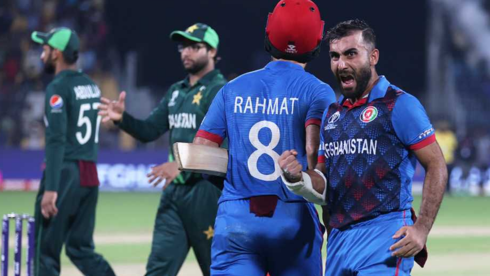 AFG vs PAK | ICC World Cup 2023 | Image: Getty Images