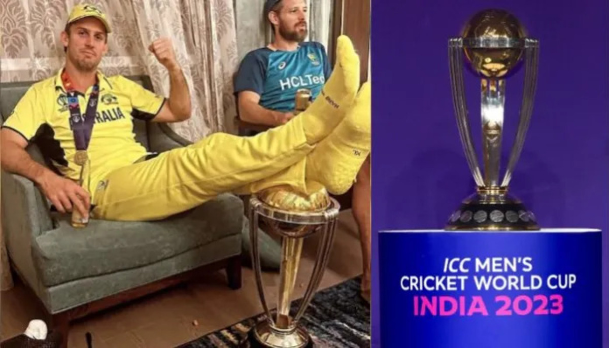 world-cup-fir-lodged-against-marsh