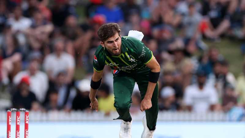 Shaheen afridi, nz vs pak