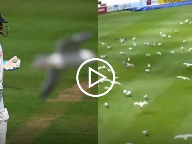 Video: মাঠের মধ্যেই হতভম্ব ঈশান কিষাণ, অদ্ভুত কারণে বন্ধ হলো কাউন্টি চ্যাম্পিয়নশিপের ম্যাচ !! 6