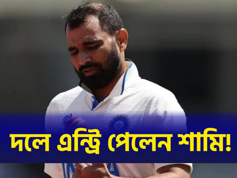 দিল্লি টেস্টের একদিন আগেই দলে ওয়াইল্ড কার্ড এন্ট্রি পেলেন শামি, মাঠে ফিরছেন তারকা পেসার !! 1