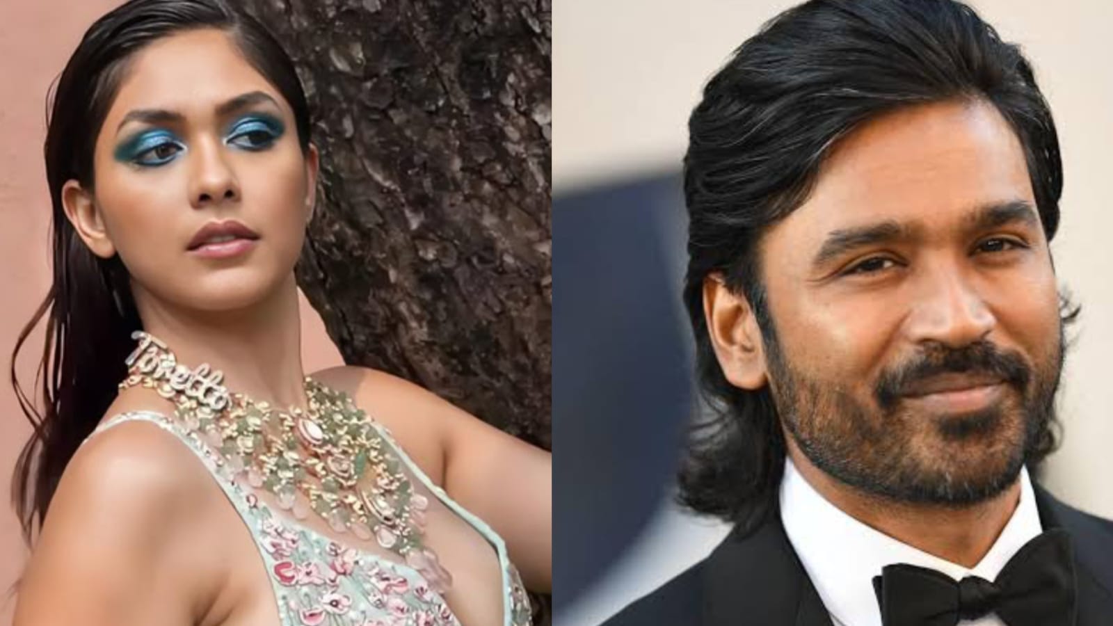 শ্রেয়সের গার্লফ্রেন্ডের সঙ্গে চক্কর চালাচ্ছেন ধনুষ, অবস্থান স্পষ্ট করলেন জনপ্রিয় নায়িকা !! 3