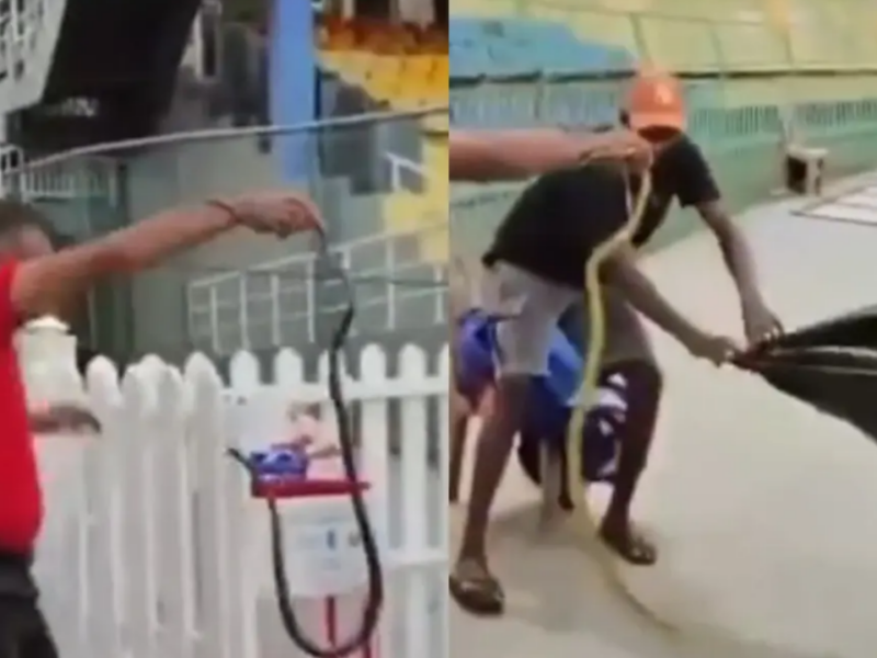 কলম্বোতে নাটকীয় দৃশ্য, ভারত ম্যাচের আগে পাকিস্তান শিবিরে সাপ উদ্ধার, ভিডিও ভাইরাল !! 15